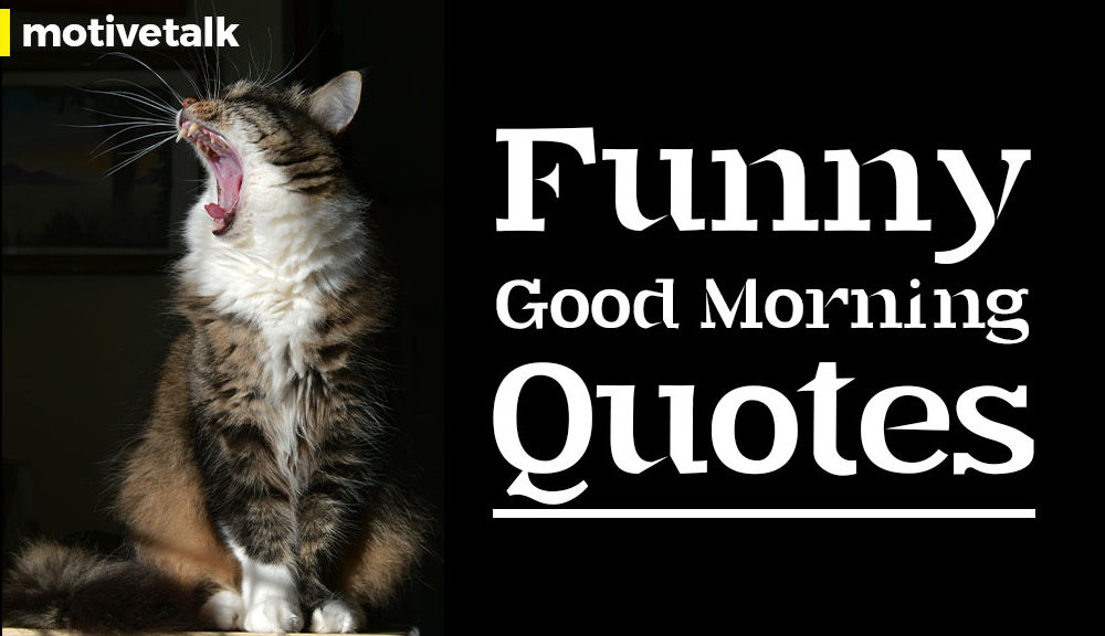 21 Funny Good Morning Quotes - That Will Make You Laugh