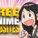 Anime Websites