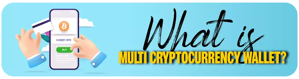 What is Multi Cryptocurrency Wallet