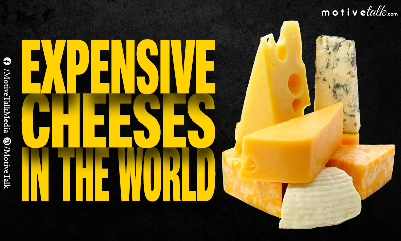 Expensive Cheeses