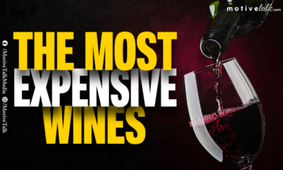 Expensive Wine