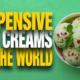 Expensive Ice Cream