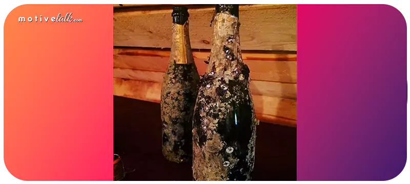 Most Expensive Champagne in the World