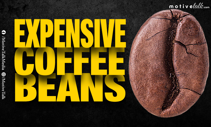 Expensive Coffee Beans