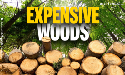 Expensive Woods