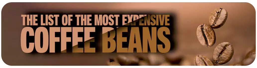 List of the Most Expensive Coffee Bean