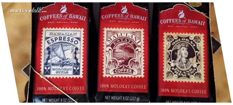 Most Expensive Coffee Beans in the World