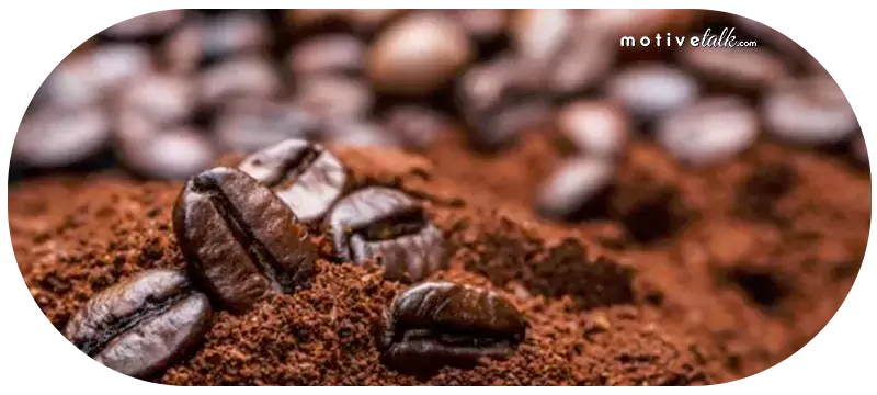 Expensive Coffee Beans in the World