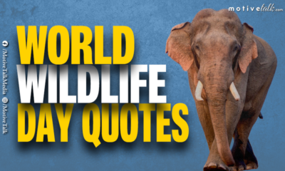 World Wildlife Day Quotes