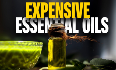 Expensive Essential Oils