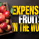 Expensive Fruits