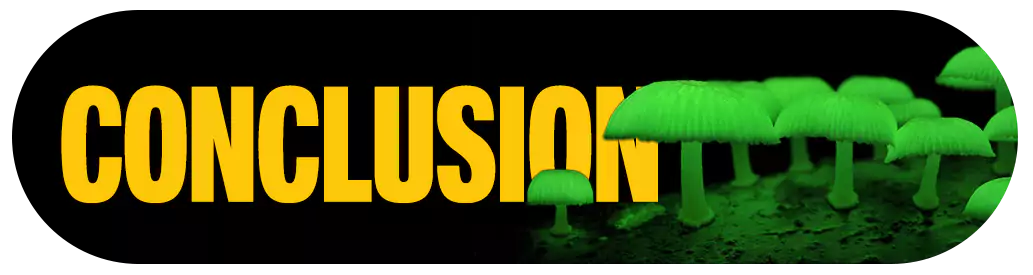 Conclusion of most expensive mushrooms