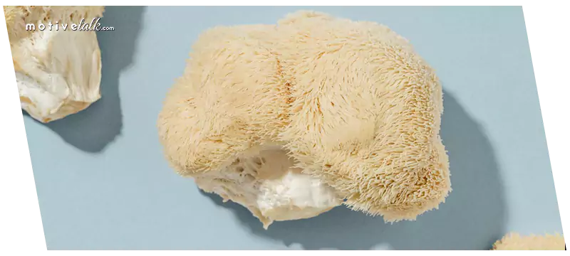Most Expensive Mushroom in the World