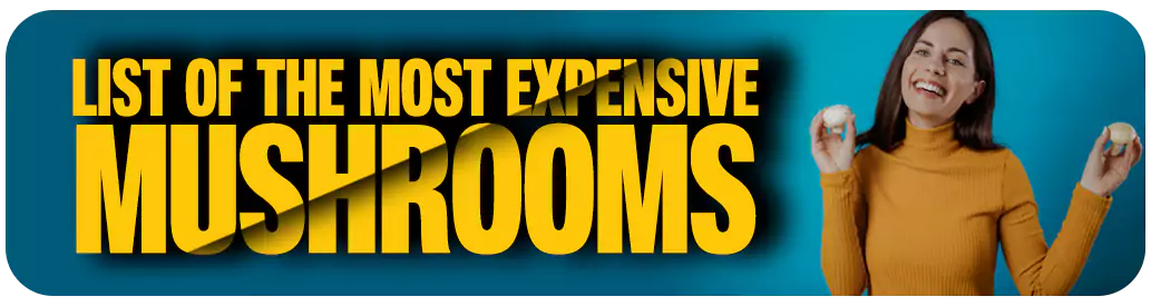 List of the most expensive mushroom