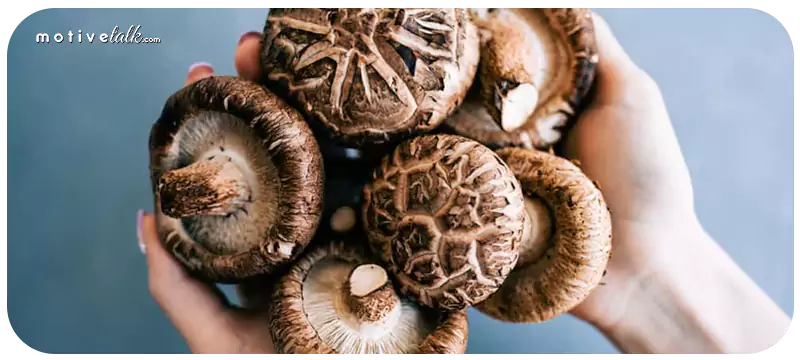 Most Expensive Mushrooms in the World