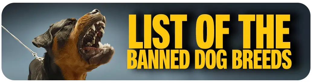 Banned Dog Breeds