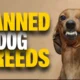 Banned Dog Breed