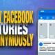 View Facebook Story Anonymously